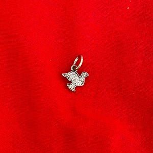 Pretty Pandora Charm